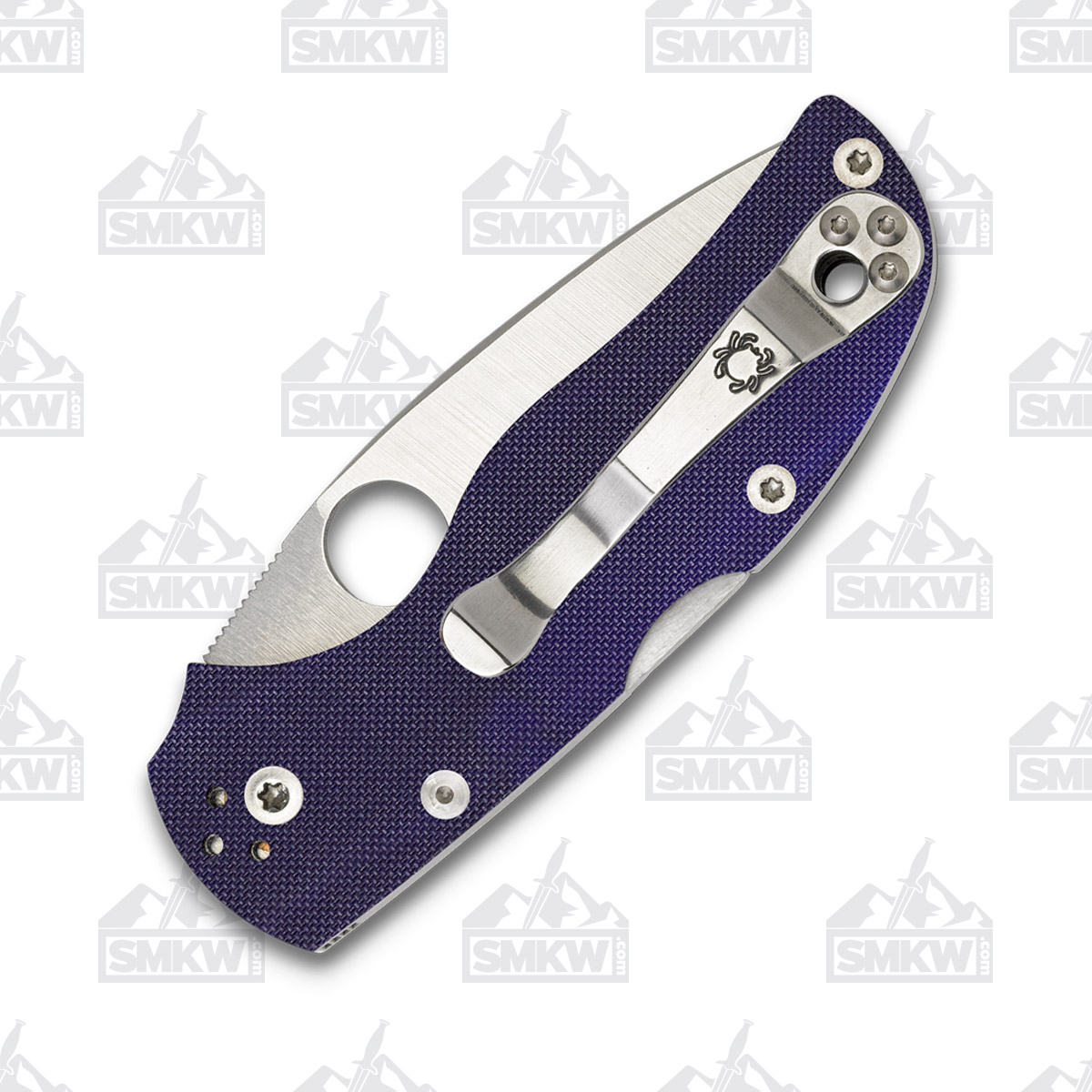 Spyderco Native 5 Folding Knife Blue 2.98 Inch Plain Satin Leaf SPC41GPDBL5 View 3
