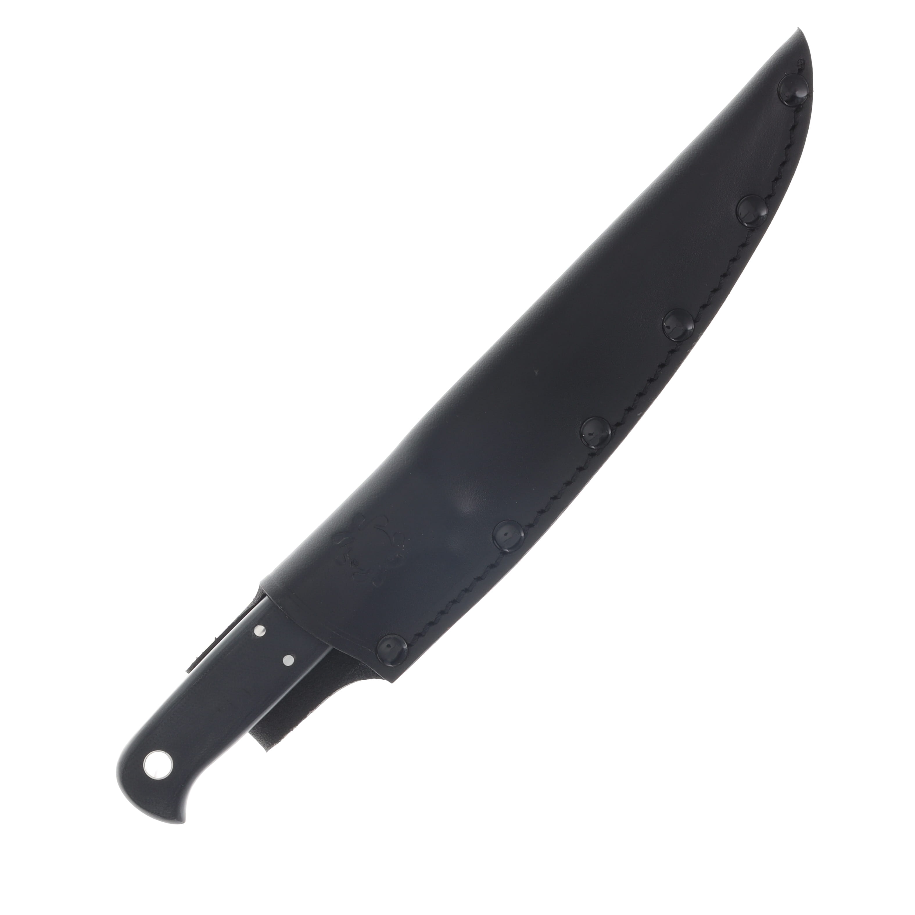 Spyderco Shelter Cove Fillet Knife 5.78in Plain Satin Fillet SPFB52GP View 3