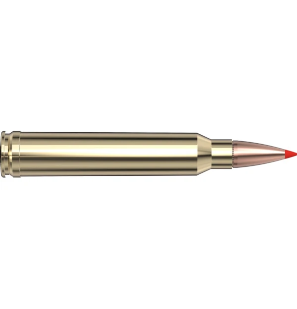 Hornady Ammo SST American Whitetail TIPPED .300 Win Mag 165 gr 20 Rounds 82024 View 2