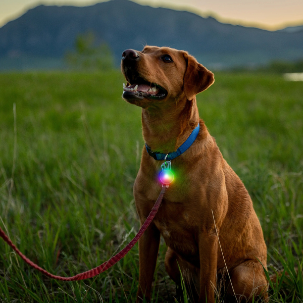 Nite Ize Spotlit Rechargeable Collar Light Disc-O Tech Jewel PSLGSRJ-07S-R6 View 3
