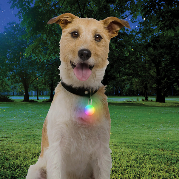 Nite Ize Spotlit Rechargeable Collar Light Disc-O Tech Jewel PSLGSRJ-07S-R6 View 2