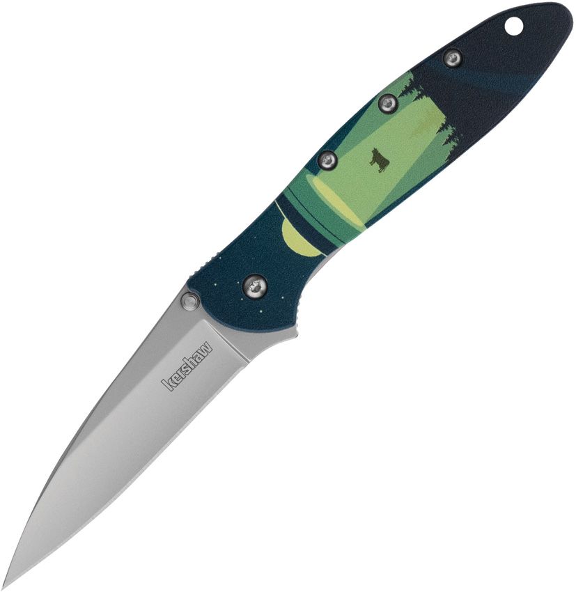Kershaw Leek Liner Lock UFO Abduction Folding Knife (Bead Blast