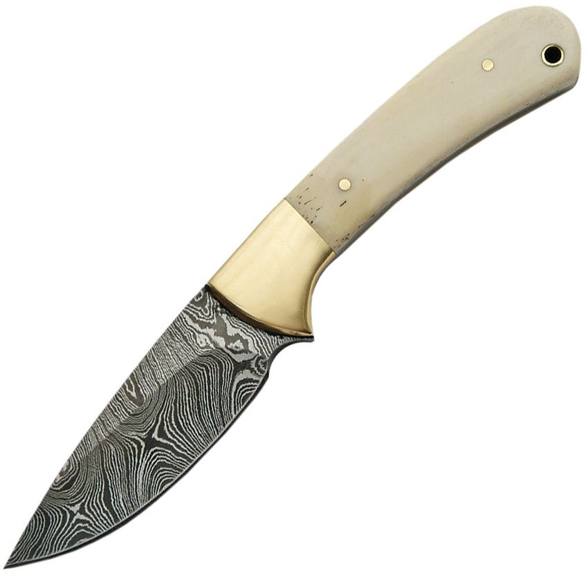 Small Skinner Fixed Knife Natural Bone W/ Brass Bolster Handle Damascus Blade DM1129 View 1