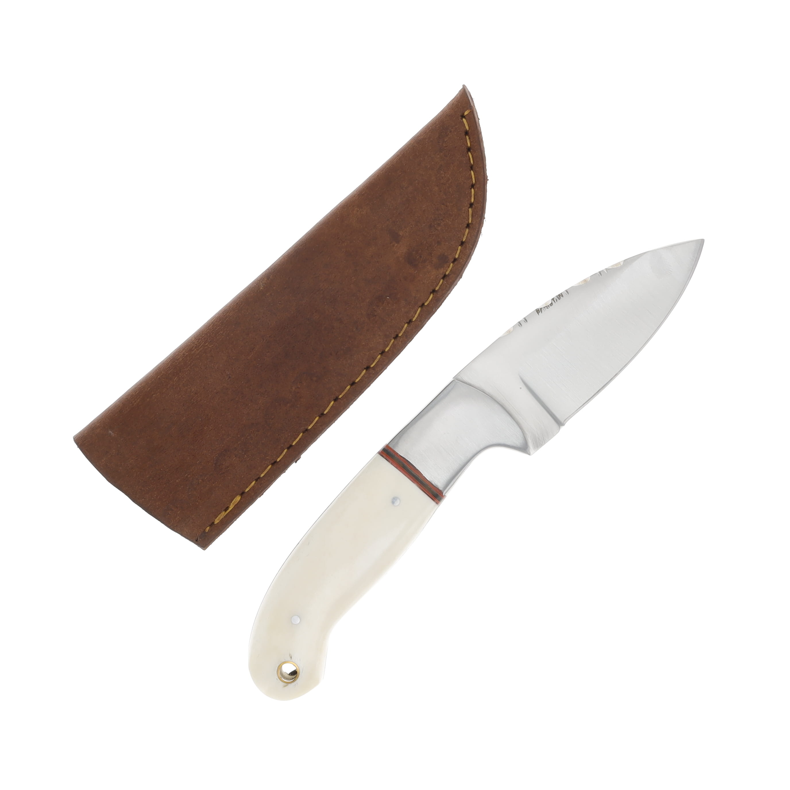 SZCO Supplies Filework Bone Skinner Fixed Blade Knife 3in Drop Point 203407BO View 2
