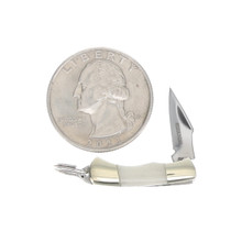 Rough Ryder Tiny Folding Hunter (Micro  White Smooth Bone)