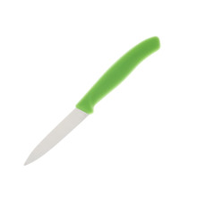 Victorinox Paring Knife Green 3.25 Inch Plain Paring Blade V67606114
