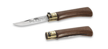 Antonini Old Bear Classical Medium American Walnut 3.15in Plain Satin Clip Point
