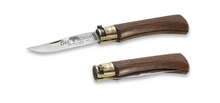 Antonini Old Bear Classical Medium Walnut 3.15in Plain Satin Clip Point