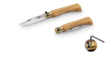 Antonini Old Bear Classical Medium Italian Olive Wood 3.15in Plain Satin Clip Point 9306/19_LU