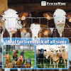 Cattle Panel, Hog Panel, Farm Fence, Galvanized Welded Wire Fence Roll, 15/13.5 Gauge, Graduated Mesh, Animal Barrier for Cattle, Deer, Goats, Multiple Size Options