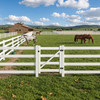4-Rail Vinyl Ranch Fence Kit with 5ft H x 4ft W Gate, 7ft Posts & 8ft Rails, Multiple Options