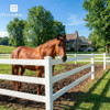 6ft Vinyl Ranch Corner Post with Cap, Multiple Options