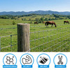 12.5 Gauge 4 Point Galvanized Barbed Wire Fencing with Gloves, Multiple Options