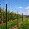 15-Gauge 500 FT Galvanized 4-Point Barbed Wire with 15 pcs 7 ft T-Posts and Gloves