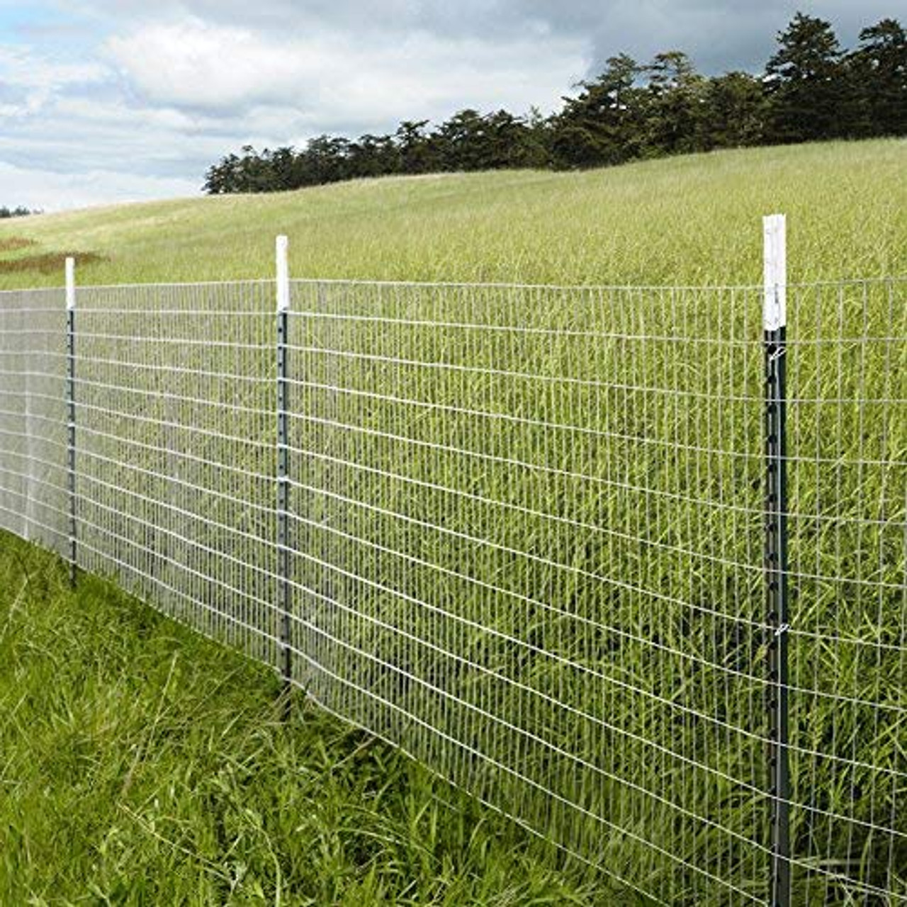 galvanized wire fence roll