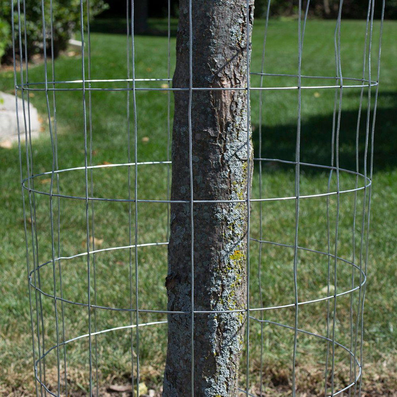 Fencer Wire 3 x 50 ft. 16 Gauge Welded Wire Fence 3 x 2 in. Mesh