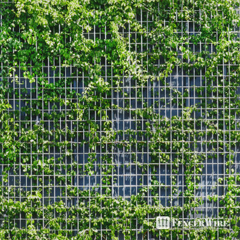 16 Gauge Galvanized Welded Fence Wire with Mesh Size 1" x 1/2", Multiple Size Options