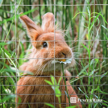 16 Gauge Galvanized Rabbit Guard Garden Fence
