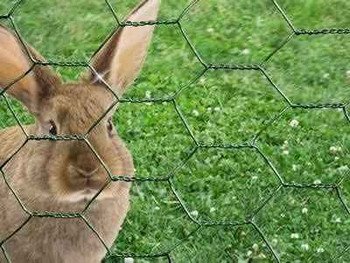 16 Gauge Green Vinyl Coated Hex / Poultry Netting Mesh 1.5" (3 ft. x 150 ft.)