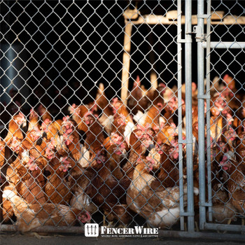 Copy of 5ft. Height 11.5 Gauge Galvanized Steel Chain Link Fence Kit w/Fence Fabric, Gate, Posts, Top Rails & Hardware, Multiple Options