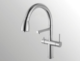 Castle Bay Bettle Filter Water Pullout Kitchen Faucet Stainless Steel