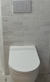Crown Oasis Wall Mount Toilet with Carrier
