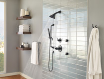 Brizo Sotria® Slide Bar Handshower in Matte Black