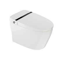 Crown Smart 10 One-Piece Elongated Bidet Toilet