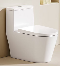 Crown Nuevo One-Piece Toilet, Dual-Flush Elongated Toilet (Soft Close Seat Included)