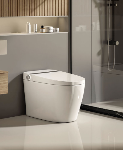 Crown Smart 10 One-Piece Elongated Bidet Toilet