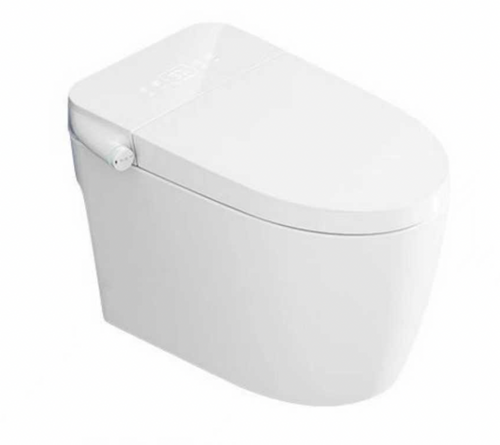 Crown Neo Smart One-Piece Elongated Floor Mounted Automatic Bidet Toilet Self-Clean