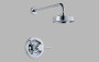 Brizo Quiessence Pressure Balance Shower Faucet