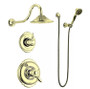 Delta with Shower Head, Diverter Trim, Hand Shower, Shower Arm and Wall Supply
