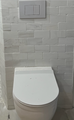 Crown Oasis Wall Mount Toilet with Carrier Included Complete