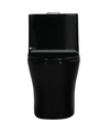 Crown Ever Clean Matte Black Dual Flush One Piece Toilet