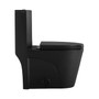 Crown Ever Clean Matte Black Dual Flush One Piece Toilet