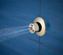 Brizo HYDRACHOICE™ MAX HydraChoice™ Massaging Spray Head with H2Okinetic® Technology in Polished Nickel