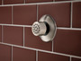 Brizo MAX HydraChoice™ Massaging Spray Head with H2Okinetic® Technology in Luxe Nickel
