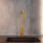 Riobel Solstice Kitchen Faucet with Spray Brushed Gold