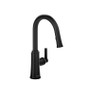 Riobel Trattoria Kitchen Faucet with Spray Matte Black Finish