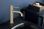 Royal Pana Brushed Gold Single Hole Bathroom Faucet