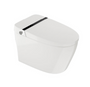 Crown Smart 10 One-Piece Elongated Bidet Toilet