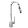 Moen Arlia Chrome One-Handle High Arc Pulldown Kitchen Faucet