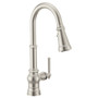 Moen Paterson Spot Resist Stainless 3 In 1 Water Filtration Pulldown Kitchen Faucet