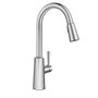 Moen Riley Chrome High Arc Pulldown Kitchen Faucet