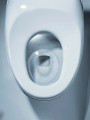 Toto Neorest® NX1 Dual Flush Toilet - 1.0 GPF & 0.8 GPF - Cotton