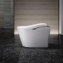 Toto Neorest® LS Dual Flush Toilet - 1.0 GPF & 0.8 GPF - Nickel Trim