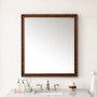 James Martin Vanities Glenbrooke 36" W x 40" H Transitional Rectangular Wood Framed Bathroom Wall Mirror