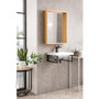 James Martin Vanities Boston 19-5/8" Rectangular Porcelain Console Bathroom Sink with Overflow and Single Faucet Hole