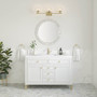 James Martin Vanities Chicago 48" Free Standing Single Basin Vanity Set with Quartz Top and Rectangular Sink